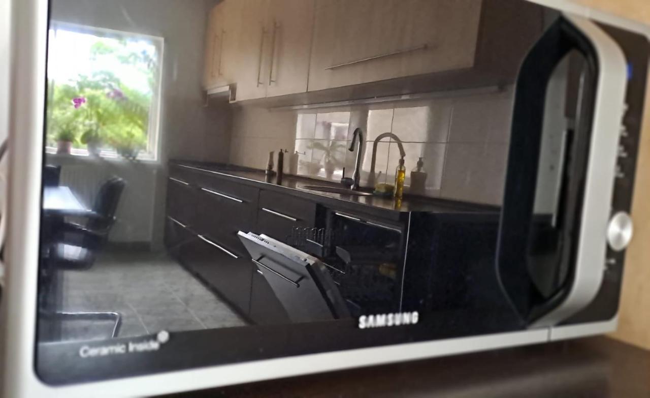 Daria Lorenzo Apartament Timișoara Zewnętrze zdjęcie