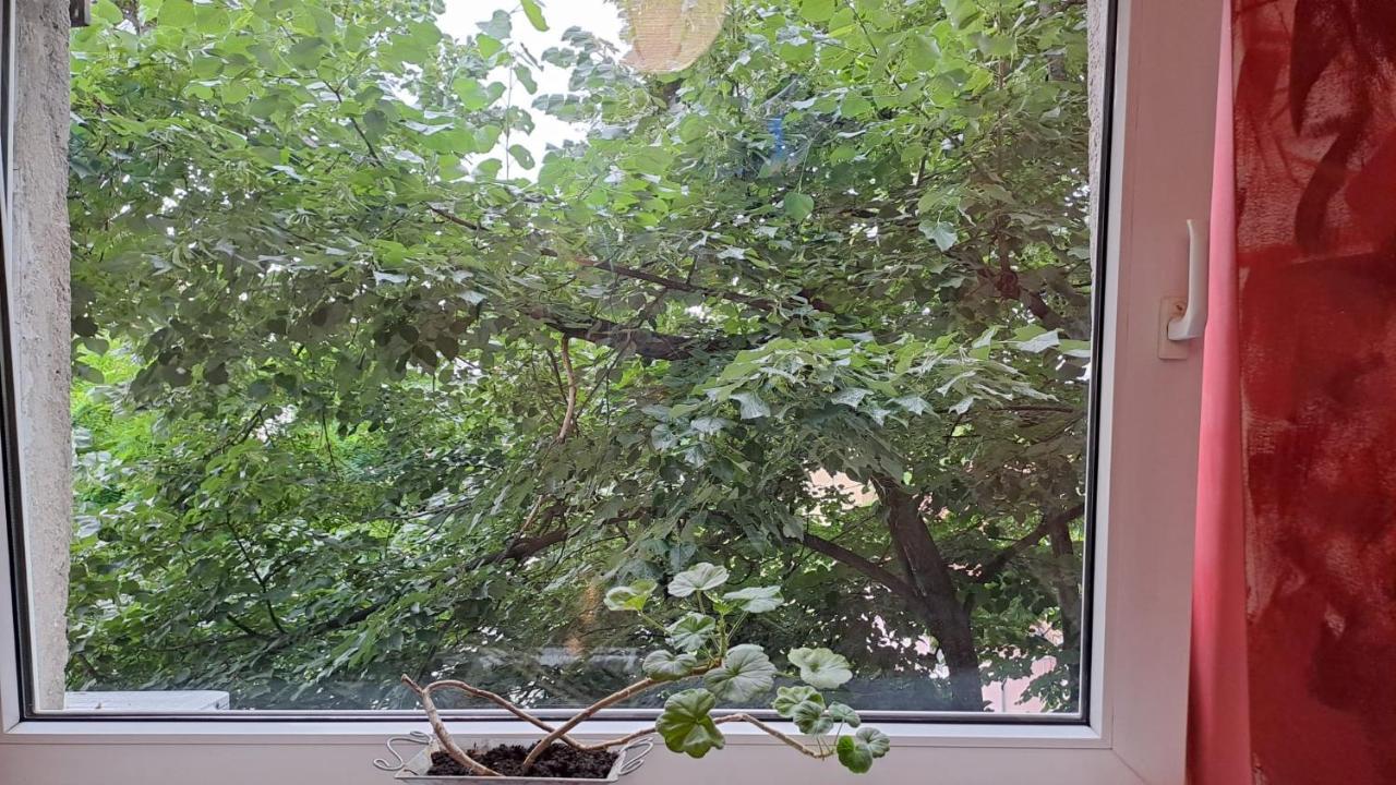 Daria Lorenzo Apartament Timișoara Zewnętrze zdjęcie