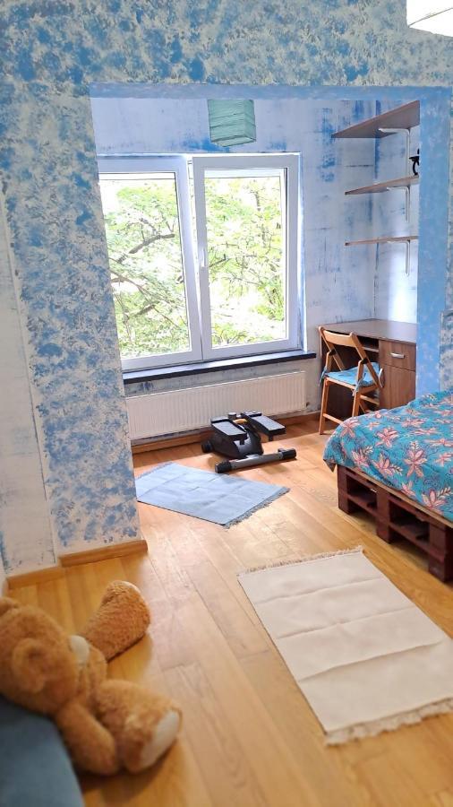 Daria Lorenzo Apartament Timișoara Zewnętrze zdjęcie